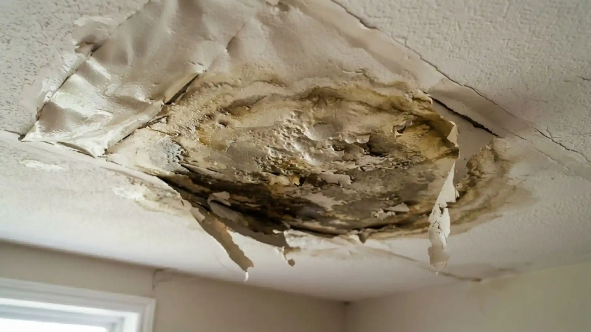Water-damaged ceiling drywall with visible mold below an upstairs bathroom leak